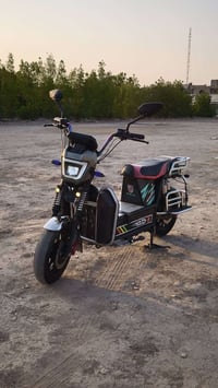 هارلي • ٢٠٢٦ • ٦ بطاريات