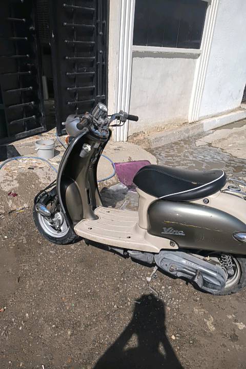السعر250وبيهه مجال