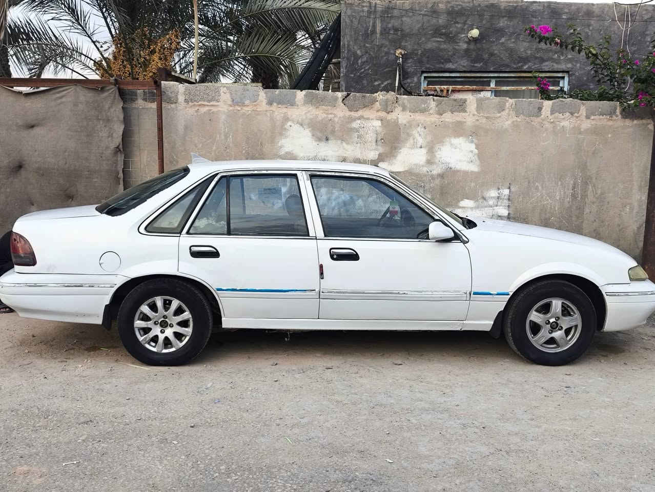 برنس فراشة • ١٩٩٦ • كربلاء