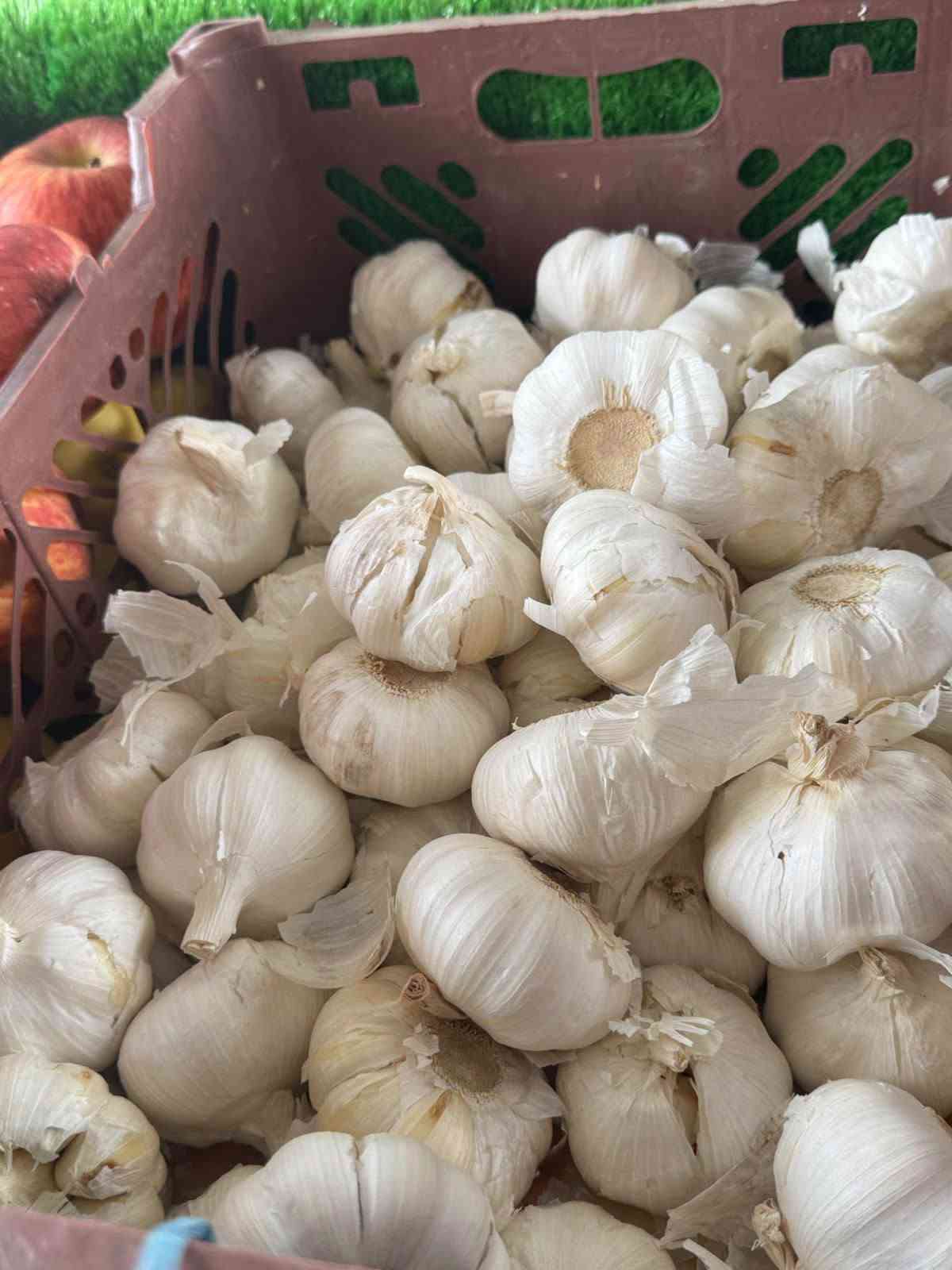 مشروع مدينة الوند • خانقين • متواجد ٢٤ ساعة