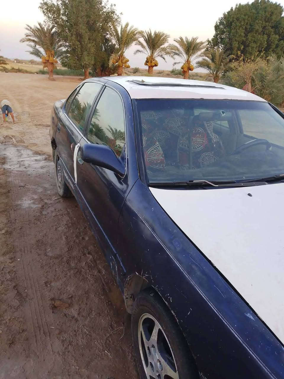 افلون 97يسره بلاد سنويه لل27
كير مكينه كارتون رقم بغداد بسمي تحويل مباشر 
وارد امريكي سعر 50وبيهه مجال ***********
