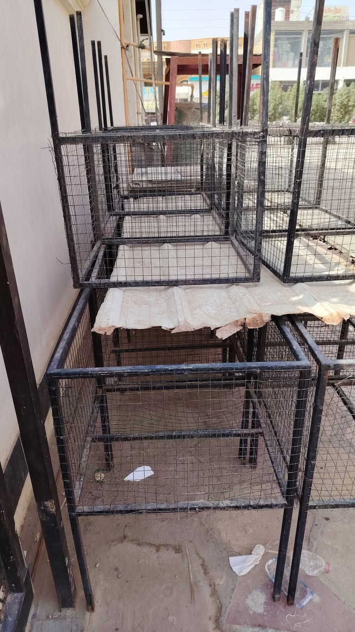 رف وسطي ثقيل اصلي سعر المتر 80.000
رف جانبي ثقيل اصلي سعر المتر 60.000
سلات اغراض نوعيه جيده سعر القطعه 20.000
الاتصال ***********
