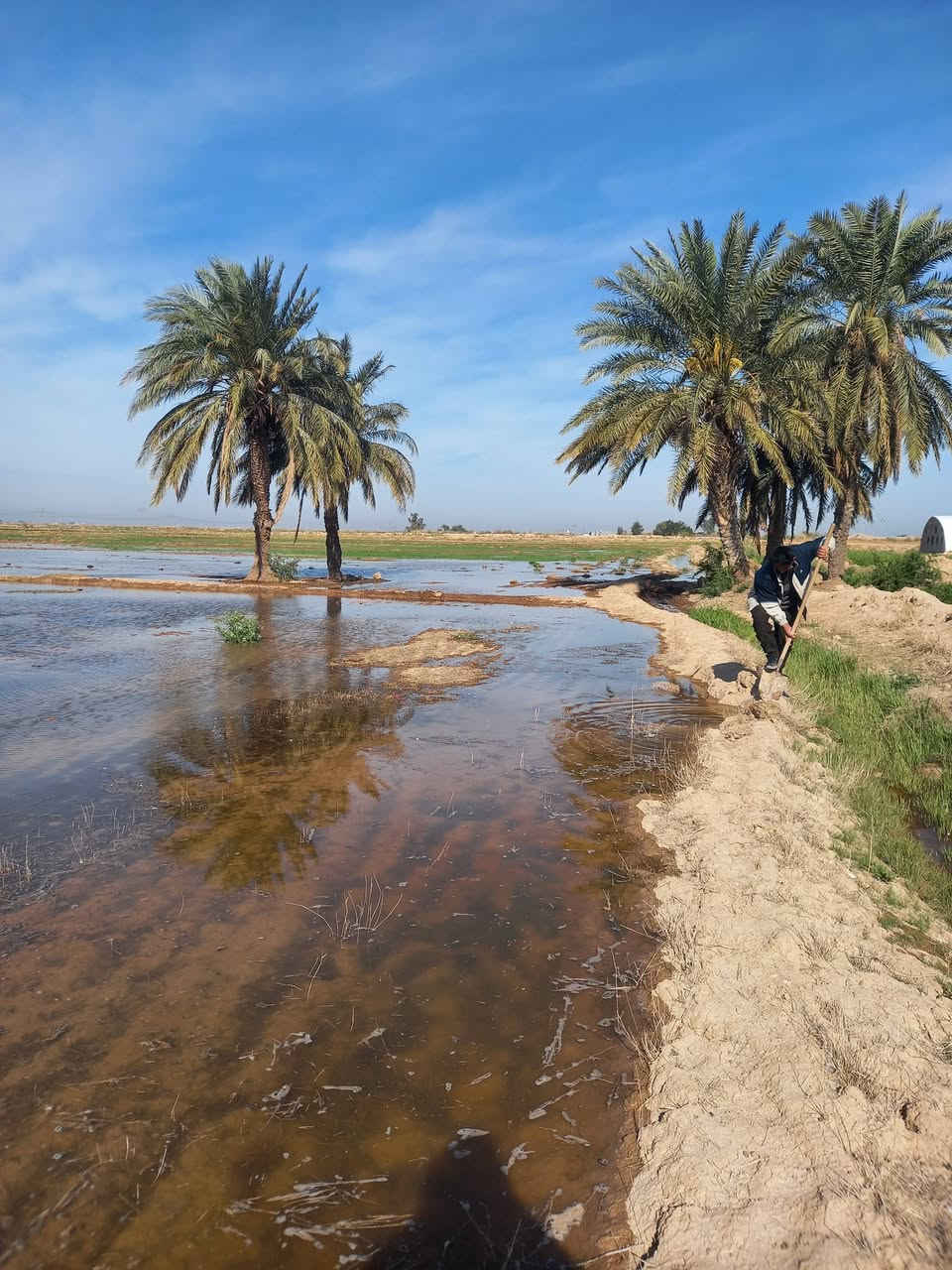 الدبوني • ٣٠٠دونم • بيت وكهرباء وماي