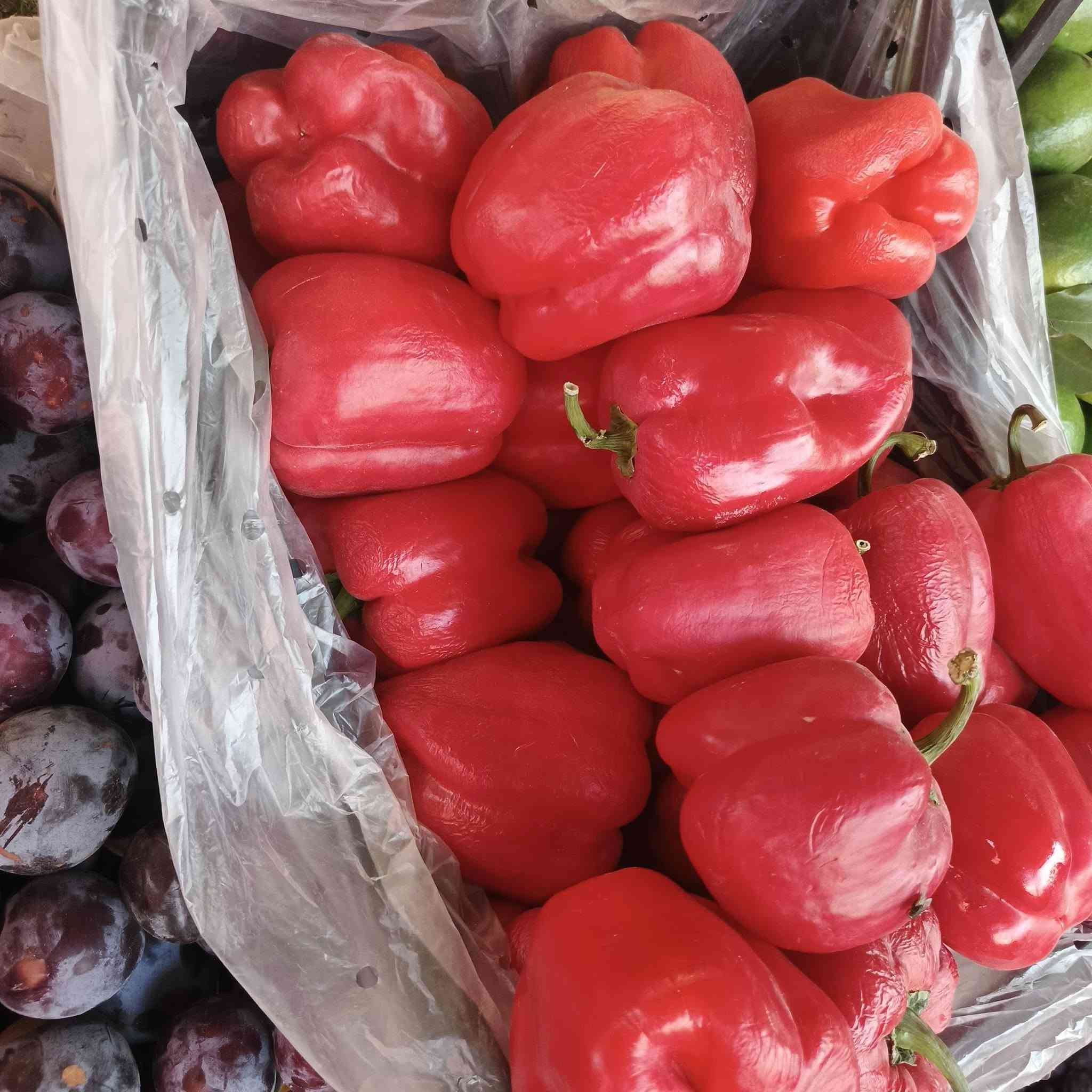السلام عليكم علوه التساهل ترحب بكم عروض اليوم 
طماطه 400
بتيته 900
كوجه درجه اولي 750بل صندوك 
فلفل مزحلط درجه اولي الكيس 5000 الوزن 13 
بذنجان درجه اولي شرط ب 400 
تفاح درجه اولي 750 
ركي عل سجين شرط 3 بلف مال مشاريع 
ركي 250 
عنب من 250 الي 1250 
جميع انواع الحشايش متوفره 
كل نوعيات  الخضره متوفره 
العنوان ال كرابله شارع البره شرجي المدرسه النهضه الشرقيه مجاور اسواق التساهل
