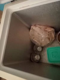 مجمدة • تجميد حلو • كهرباء تعبانة