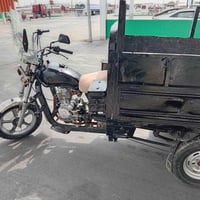 ستوته • فحل • نضيفه