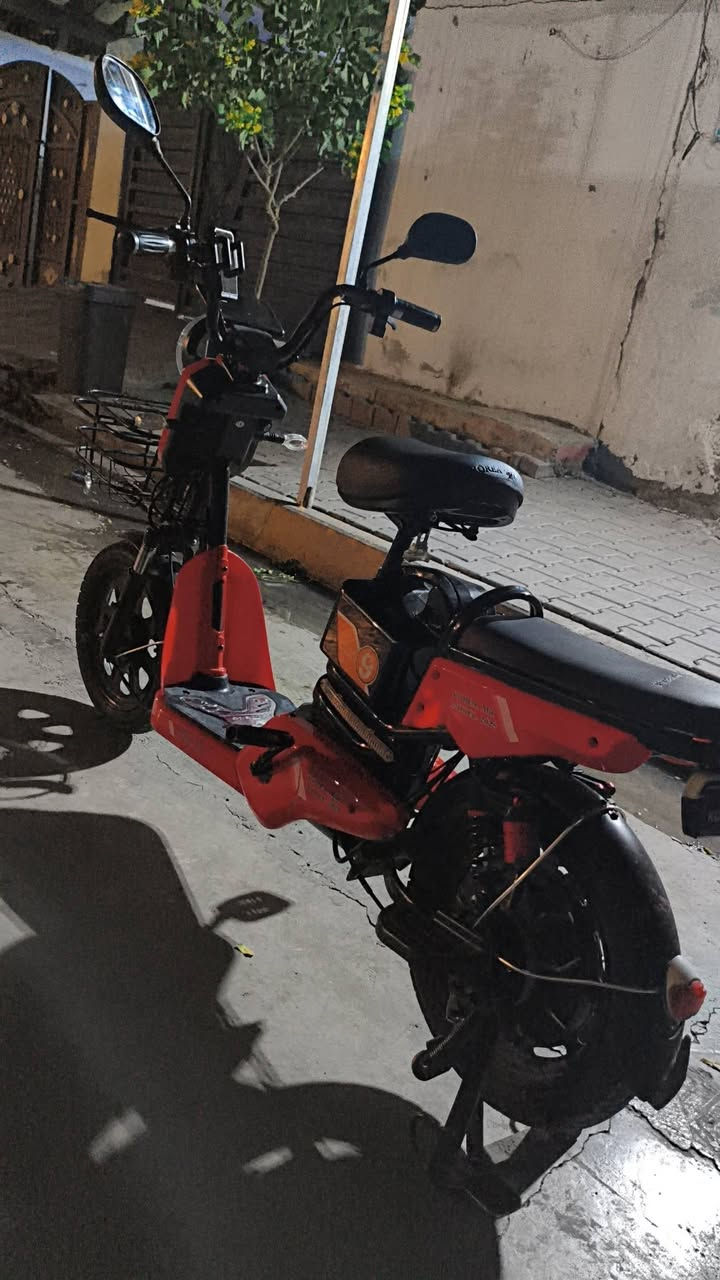 بايسكل شحن • موديل ٢٠٢٥ • بطارية ١٠٠٪