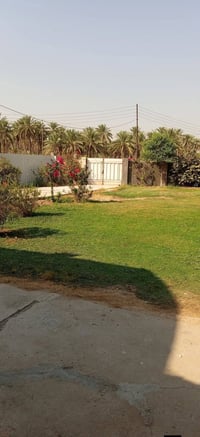 دونم • طابو صرف زرعي • بيت حديث