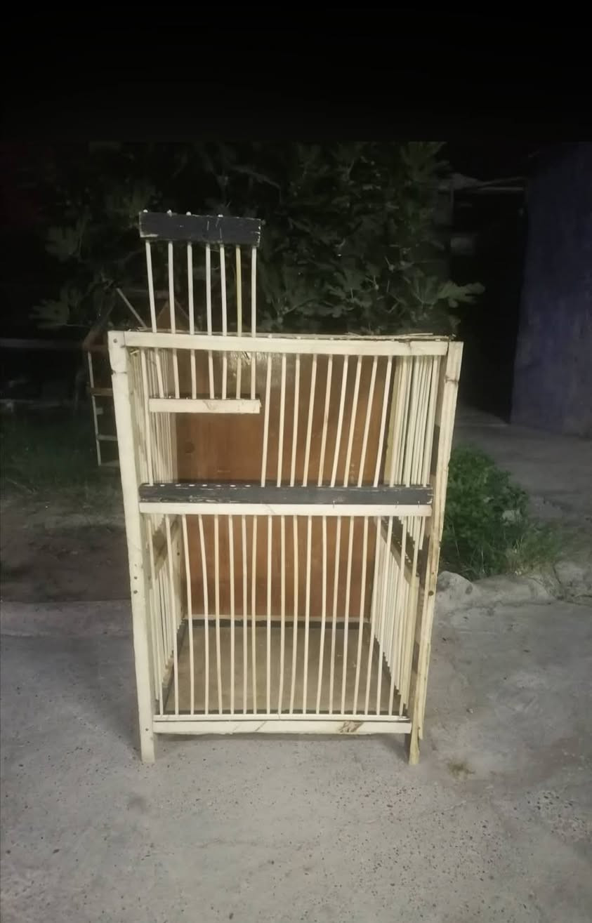 متاح قفاص بلابل تمر سعر القفص 18الف وقفاص طيور حب 15 اكثر من قفصين بيهن مجال رقم بي واتساب ***********

