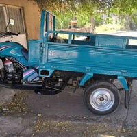 ستوته • جمره دولفين • ٢٠٢٣