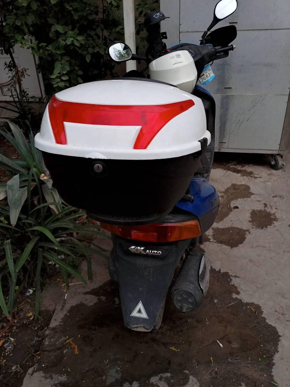 سيديه