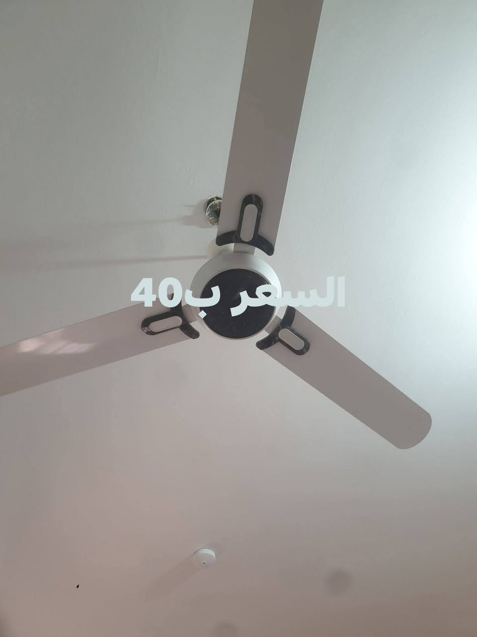 اغراض بيت كاملة للبيع والسعر موجود بالصورة واكو غراض بيهم مجال شي بسيط واكو مابيهن وعندي بعد بطانيات نضيفات جدا واغراض مطبخ فرفوري وطباخ منضدي نوعية نوال ابو 5 اعيون وزاوية حمام

نص مكتوب في الصور:
- السعر ب 100
- السعر ب 150
- السعر ب 40
- السعر ب 7
- ميز حديد مال مواكب
- سهرة ب 30
- السعر ب 15
- عدد 2 السعر 20
- عدد 2 السعر ب 15
- سنكي سل ستيل الاصلي استخدام20 يوم فقط سعرة ب30 وهدية ويا سلة المخضر وسلة الاماعين