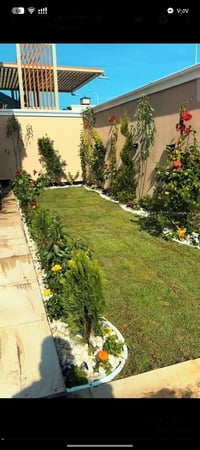 عشب طبيعي • ديالى • أنواع متعددة