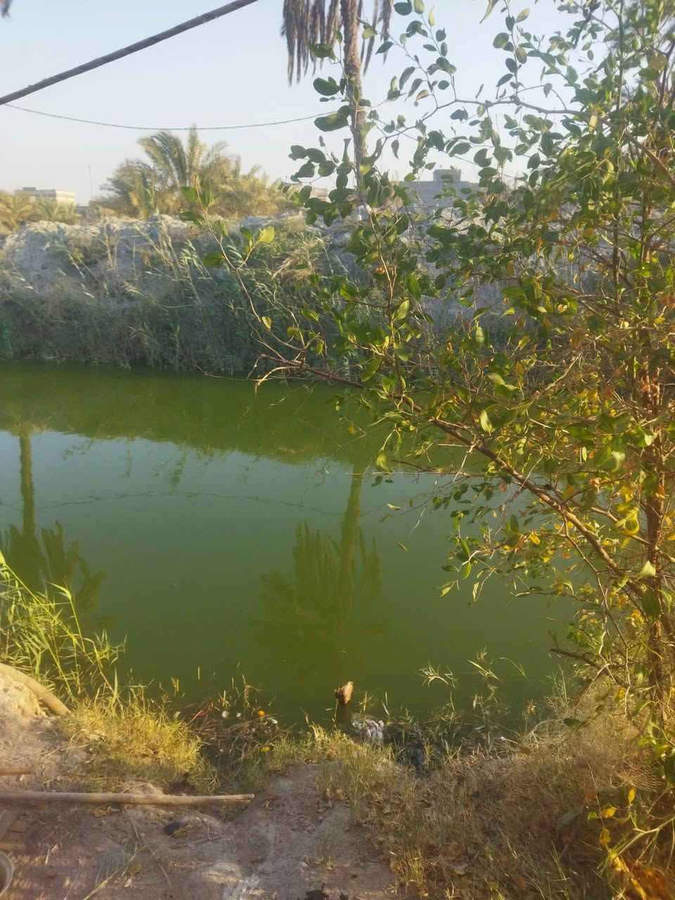 دار سكن في ابي الخصيب طريق الصحراء وقف مسجل اصولي مساحة 200متر على ضفة نهر سعر 40 قابل للتفاوض تفاصيل أكثر تصال على رقم ***********

