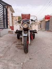 ستوته • موديل 14