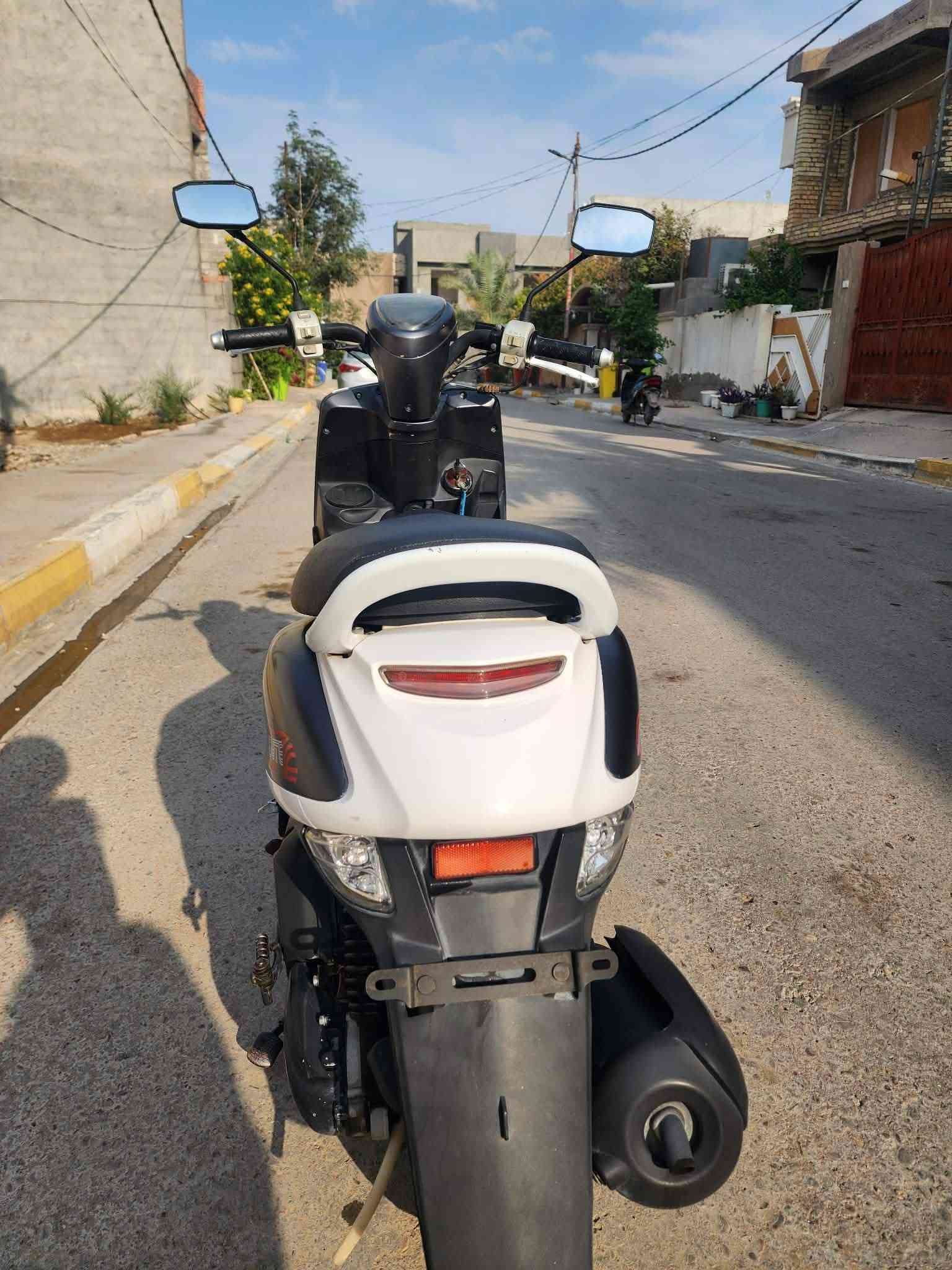 بوليسي • ٢٢ • ياباني