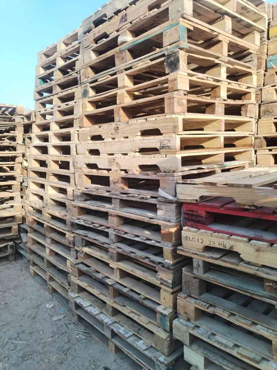 سكيب • درجة أولى • ١٢٠/١٠٠