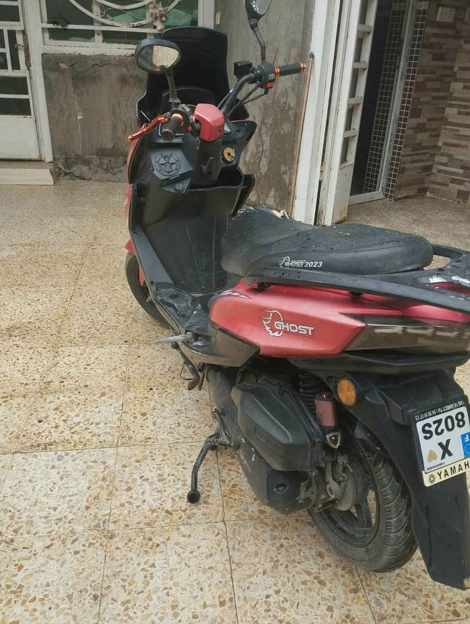سكنس جبلي • نكره • بل مشي