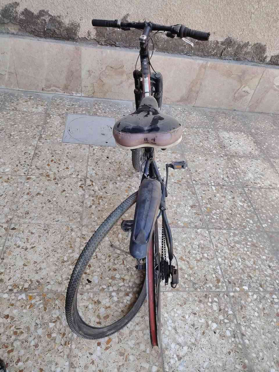 بايسكل للبيع 
بايسكل جديد كلشي ما بي بس يحتاجله جوب وغسل زنجيل 
و بايسكل متروك 
الحجم : 28
ياباني كنت 
دبلات شغاله 
بريك خلفي وامامي شغالات 
مكاني بغداد الأمين

 الرقم :  ***********
