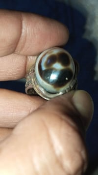 جزع بقري • مصور واضح • قطعه راقيه