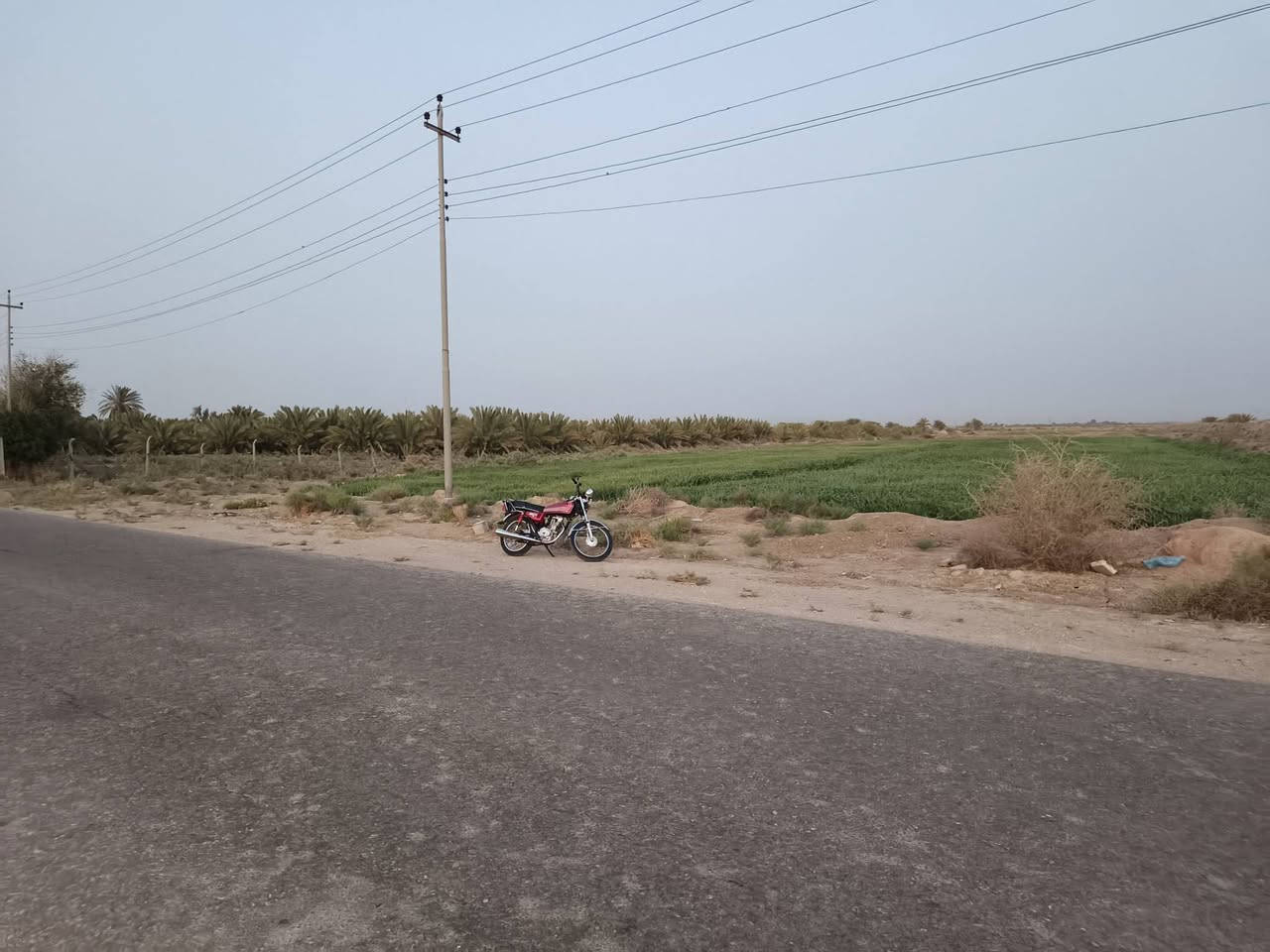 ١١ دونم • سند ٢٥ زراعي • طريق الديوانية-النجف