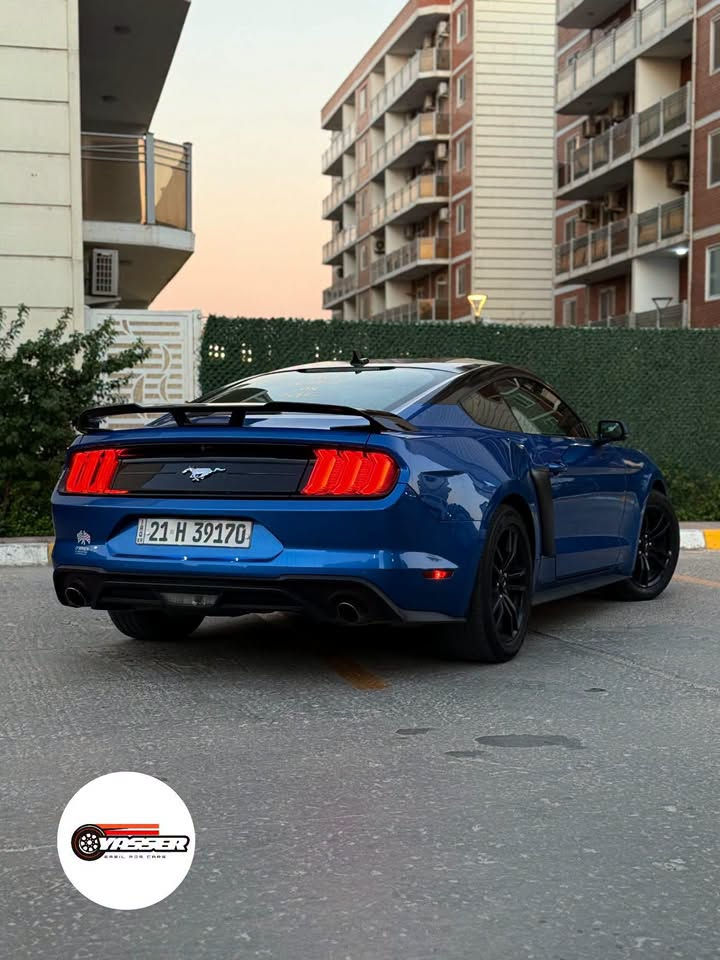#بسعر_منااسب ‼️ قطعة صبغ بدون ايرباك ✅

𝐅𝐨𝐫𝐝 𝐌𝐮𝐬𝐭𝐚𝐧𝐠 𝐄𝐜𝐨𝐁𝐨𝐨𝐬𝐭 𝐏𝐫𝐞𝐦𝐢𝐮𝐦 • 𝟓𝟓𝐭𝐡•
الموديل : [ 𝟐𝟎𝟐𝟎 ]
المحرك : [ I4 / 2.3 - Turbo ] ⚡️
الگير : [ أوتوماتيك ] 
الممشى : [ 55 الف ميل ]
اللون : [ أزرق - مميز ] 🌊
الحالة : [ السيـارة وارد أمريكا ضررهـا جاملغ السائق فقط ! ]

[ لمعرفة السعر اترك تعليق داخل المنشور وسوف يصل اليك مباشر عبر رسالة نصية ] 📥

[ الـــــمـــواصــفـــــات ]

- السيـااارة فئـة 𝐏𝐫𝐞𝐦𝐢𝐮𝐦 فووول مواصفـات ( عدا الديجيـتال ) 

الموقع : [ بغـداد / الـدورة ] 📍

للتواصل واتس اب او اتصال : [ *********** ]

نص مكتوب في الصور:
- Ford Mustang EcoBoost Premium .. 55th ***********
- YASSER CREIL FOR CARS
- YASSER
- ERBIL FOR CARS
- VASSER ERBIL FOR CARS
- YASSER ERDIL FOR CARS
- CANDY FOR CARS
