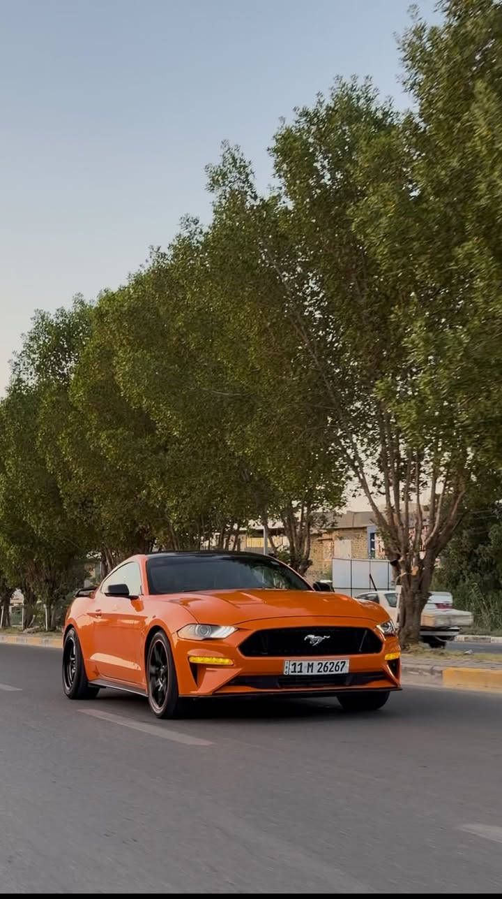 موستانج ايكو بوست • ٢٠٢٠ • ٤٥٠٠٠ ميل