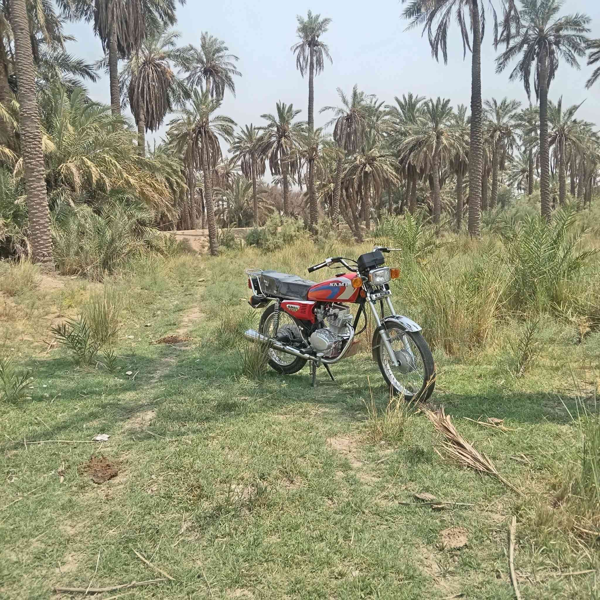 سلام عليكم شباب دراجه لبيع 23 سكنر س7 وراق نامه شلامجه وشراي يخابر سعرها 950 ولمو شراي لا يتعبني رجان ***********
