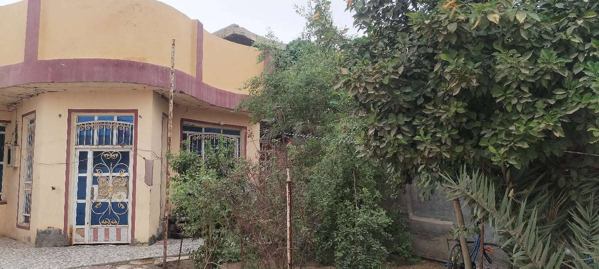 حي السعيدي • ٣٧٥م • شارع ١٠م