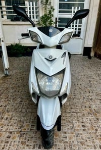 سكنس • ياباني • مراوس