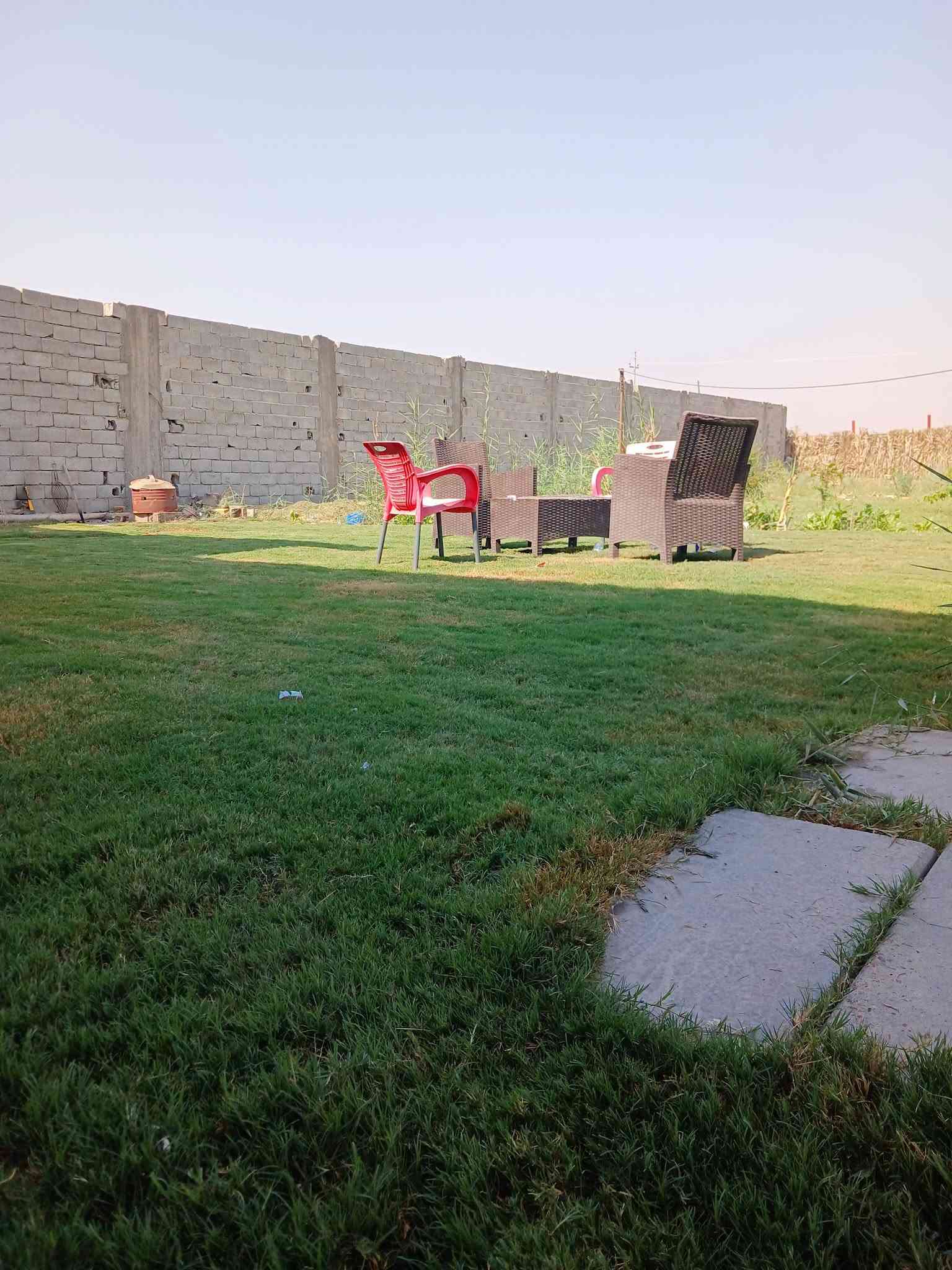 للبيع فقط مزرعه مساحه نص دونم يعني ١٢٥٠ متر وجه ٤٠ متر طابو زراعي سند ٢٥ تتحول على طابو المحموديه بسم واحد ركن على شارعين مكانه حلو ومميز قرب مركزشرطةالرضوانيه بيها ماء أساله وكهرباء وماء بزل مزروعا نخل برحي وزيتون وموز ورمان وعنب وبرتقال وتكي وتفاح موجود فيديو موضح كلشي بيها للاستفسار اتصل مكتب دارك للعقار واتساب *********** ***********

