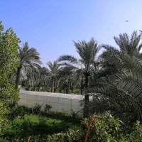 أبو طيارة • غرفتين • بلكونة مطلة