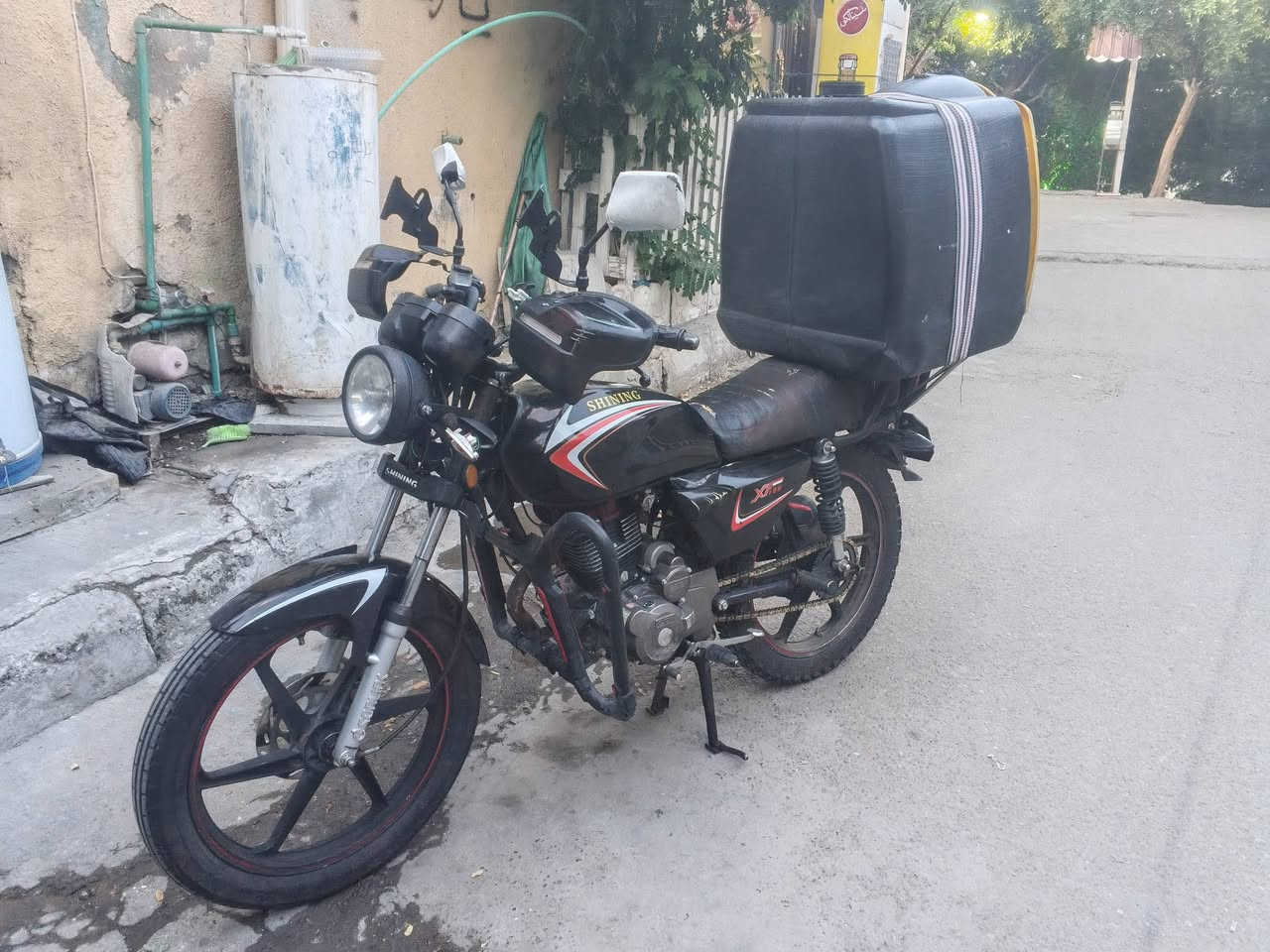 شاينك • ٢٠٢٤ • نضيفه