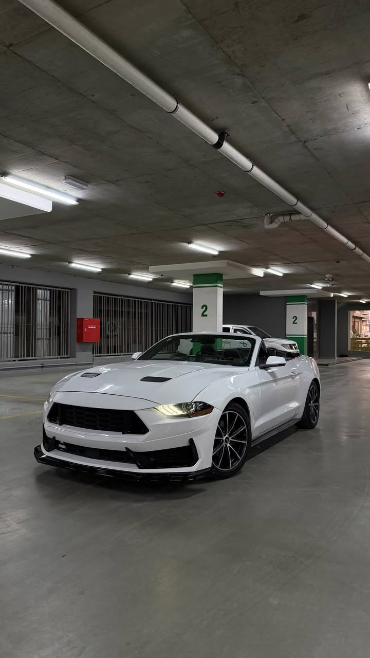 للبيع فقط السعر 115 ورقه للاتصال*********** و
موستانك ايكوبوست موديل 2020 رقم بغداد
محرك 4 سلندر كير اوتو محرك وكير مكفولات 
فول مواصفات 
تخم تاير وصدر جديد
ماشيه 91 الف مايل 
ايرباك الاسيترين طاك فقط
وارد امريكي صورة الحادث موجوده ويا الصور حادثها جاملغ وبنيد بيها صبغ 3 قطع جاملغين وبنيد بدون دواخل شواصي لغود مكفولات دواخل مكفوله 
السياره بدون نقص
المكان بغداد الزعفرانية

