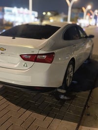 ماليبو • ٢٠٢٣ • رقم بصره