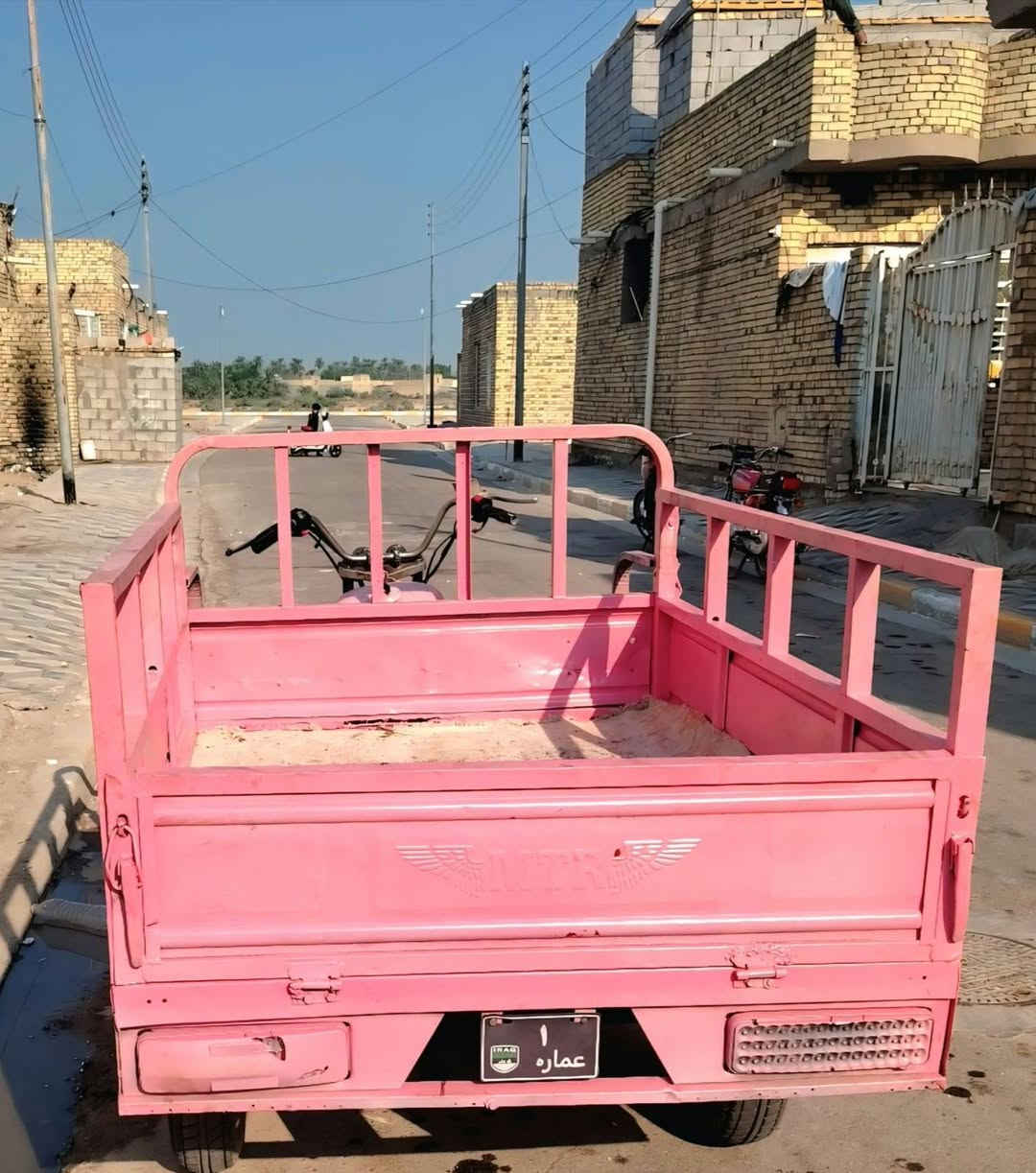 ستوته • بدون اوراق • كحلاء
