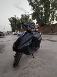 فراشة • دراجة