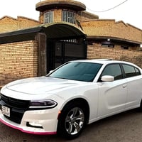 SXT بلس • ٢٠١٨ • كشنات جلد