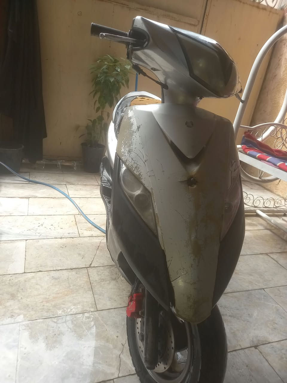 السلام عليكم عارض دراجه للبيع ثعلب مختمه كلهه العنوان حريه مكينه ناعمه الدراجه خير من الله الاستفسار *********** السعر ٣٧٥ تحياتي للجميع
