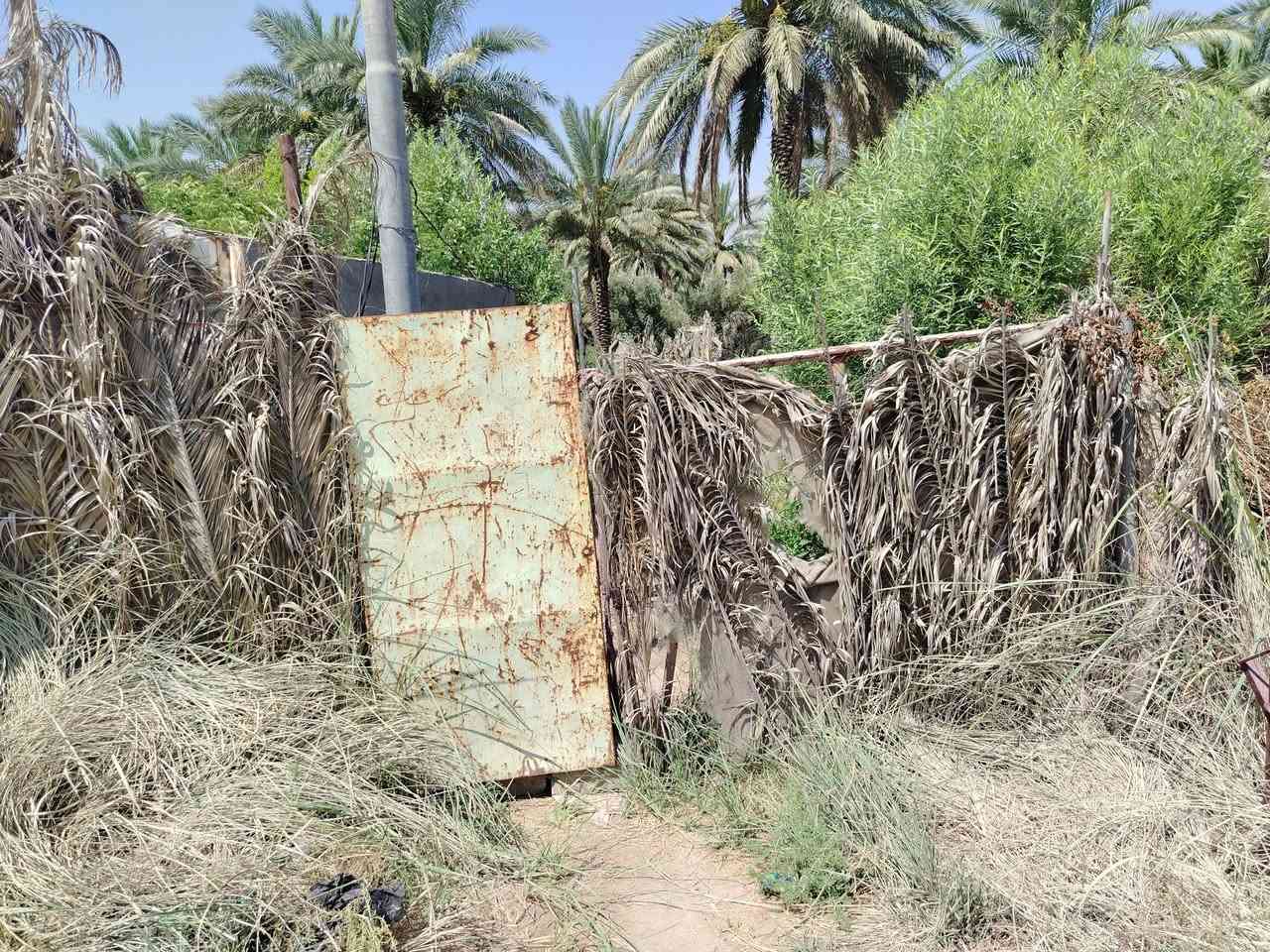 قطعة أرض للبيع طابو زراعي سند 25 و تتوفر كافة الخدمات ماء اسالة و ماء سقى و كهرباء و تبليط وتحتوي على نخيل عدد 18 نخلة حمال زهدي و أشجار رمان و تبعد عن شارع محاويل سده 250 متر عن الشارع العام مساحة الأرض نصف دونم مع بيت مساحة بناء 200 متر للاستفسار التواصل مع الرقم ***********
