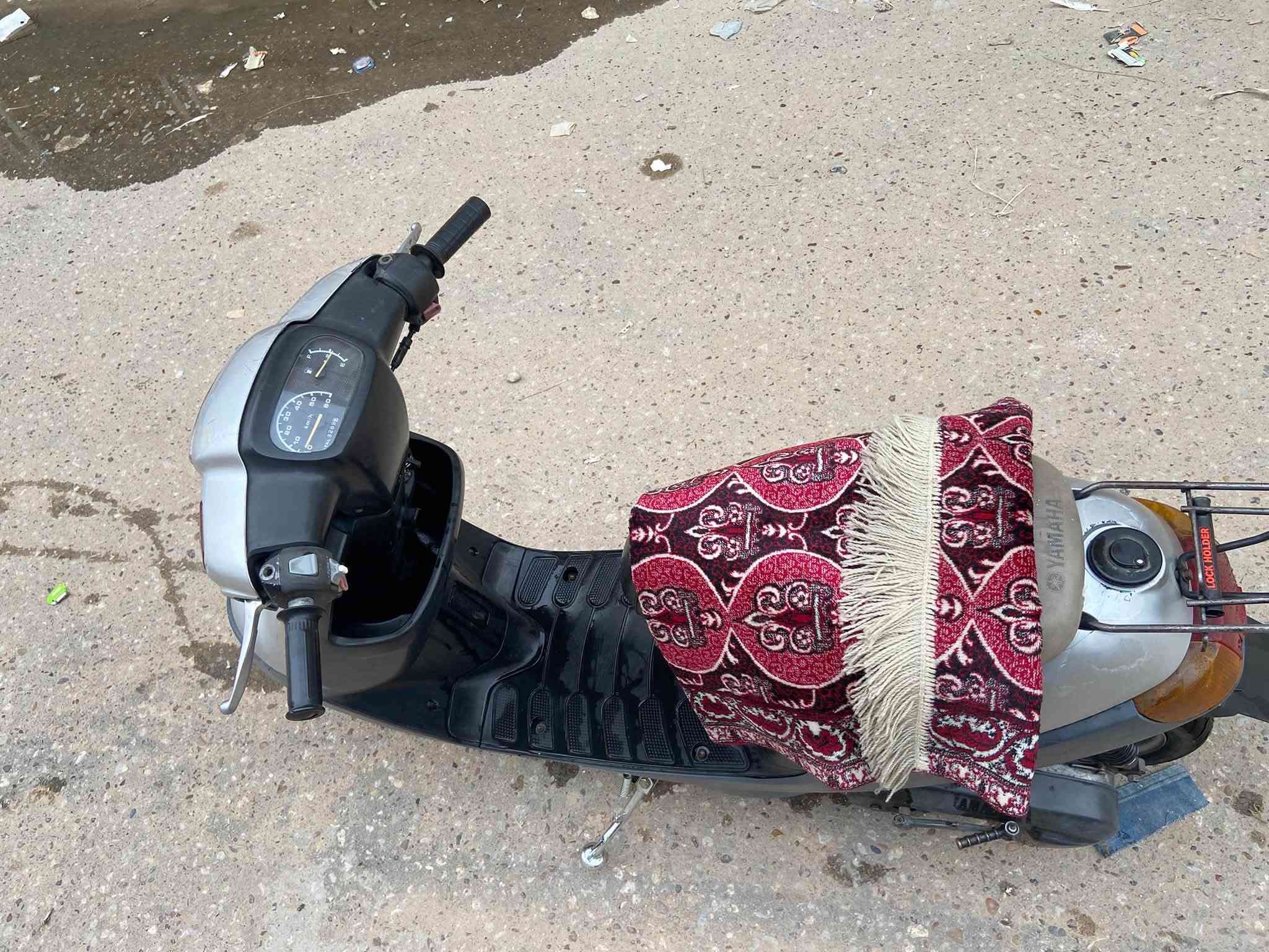 بطة • حاويه • سلف