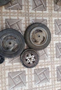 فراشات • ويل ماكس • حي العسكري