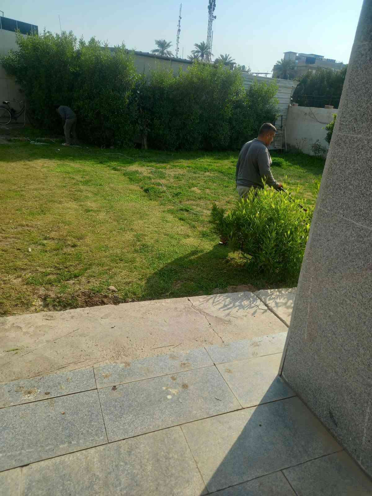 سلام عليكم يوجد لدينه قص جميع انواع الحدايق وزراعت الشجار تصال ***********

نص مكتوب في الصور:
- قبل
- بعد
