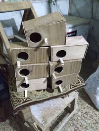 طيور الحب • بيوت طيور • للبيع