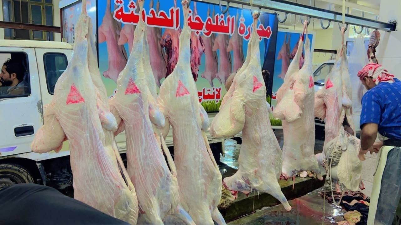طلي خالص • مثروم • شارع ابو النسوره