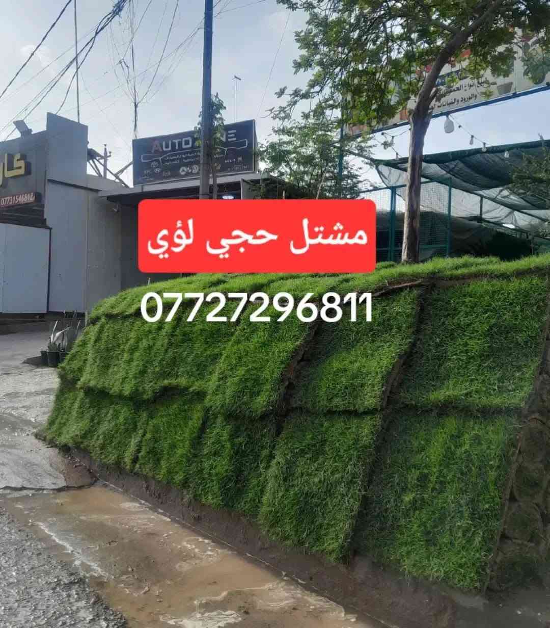 🌿🔥 ثيل هندي درجة أولى وبسعر مميز! 🔥🌿

تريد تسوي حديقتك خضراء ومرتبة؟ 😍
وفرنا لك الثيل الهندي درجة أولى 🌱💚
جودة ممتازة، كثافة حلوة، ومناسب للحدائق والمساحات الخارجية.

💰 سعر المتر: 2,000 دينار فقط
📦 أقل طلب: 50 متر فما فوق
🚚 التوصيل داخل بغداد فقط

📞 للطلب والاستفسار:
***********

🌱 مشتل حجي لؤي
لا تفوّت العرض، وخلي حديقتك تصير غير شكل 💚🔥

#ثيل_هندي #ثيل #عشب_طبيعي #حدائق #تنسيق_حدائق #مشتل_حجي_لؤي #بغداد #نباتات #زراعة #حديقة #عشب_بغداد #ثيل_بغداد #تنسيق_حدائق_بغداد #عروض_بغداد
