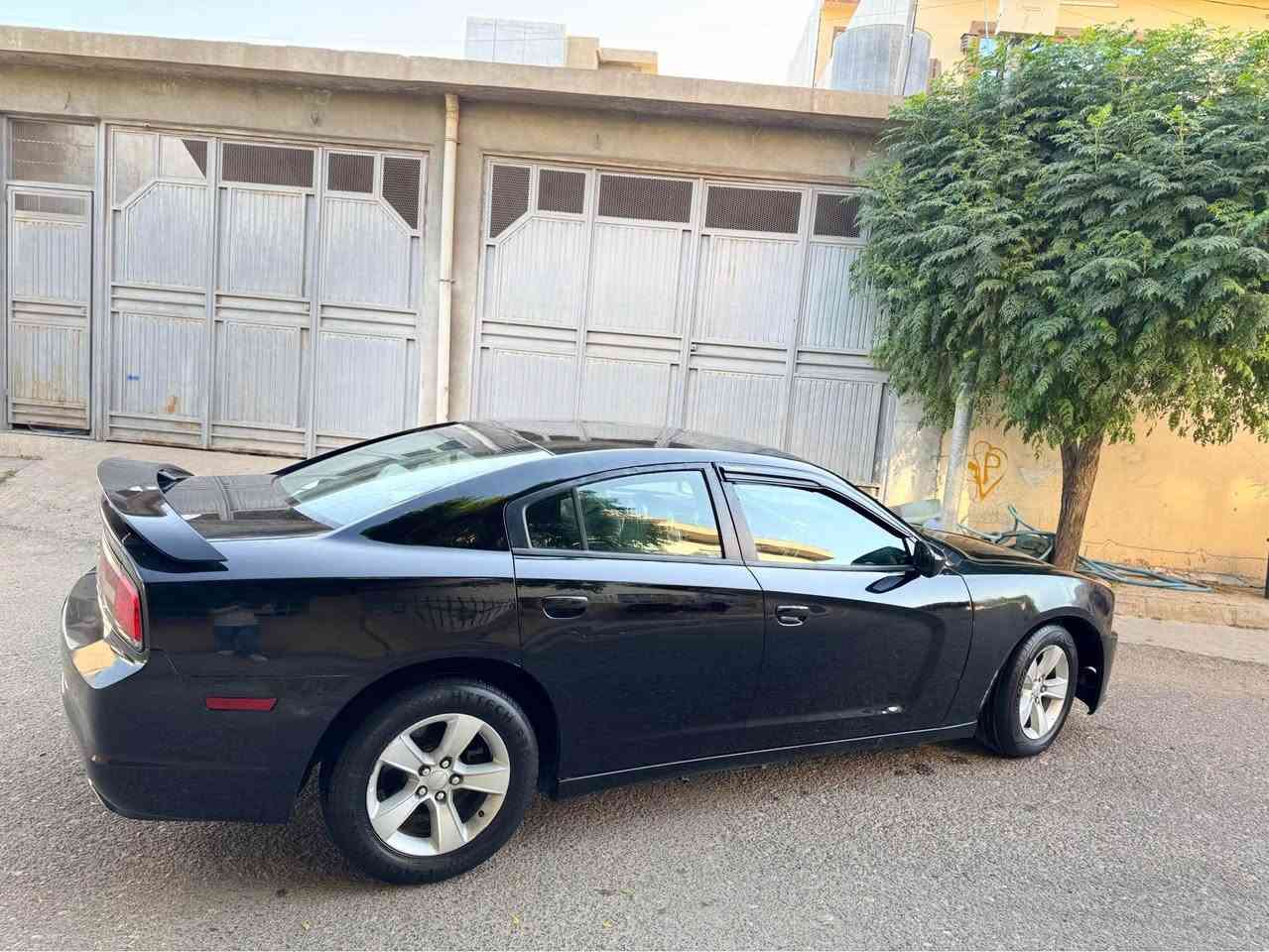 دۆج چارجەر ٢٠١٤ بڕاوە کۆدی هەیە ٥٣ گەڵا 

٦ پستۆن 

کۆدی هەیە 

گێڕ و مەکینە و کارەبای بەشەرت 

بێ چاڵ ✅
بێ شوخت ✅

تاقم پێش و دوای تازە داگیراوە چرکەی تیا نیە 🔱

٤ تایەو ویلی لۆکی لەسەرە 🛞

کوشن جلد✅
هیتەر✅
کوشن کارەبا✅

تەحەکوماتی سەر سوکان ✅

سعری خوار هەموو بازاڕ ٥٣ گەڵا 

***********
***********

ئەدمینی دڵ ❤️
