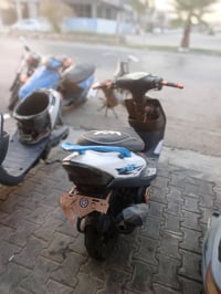ماكس عدلة • كفالة • نجف