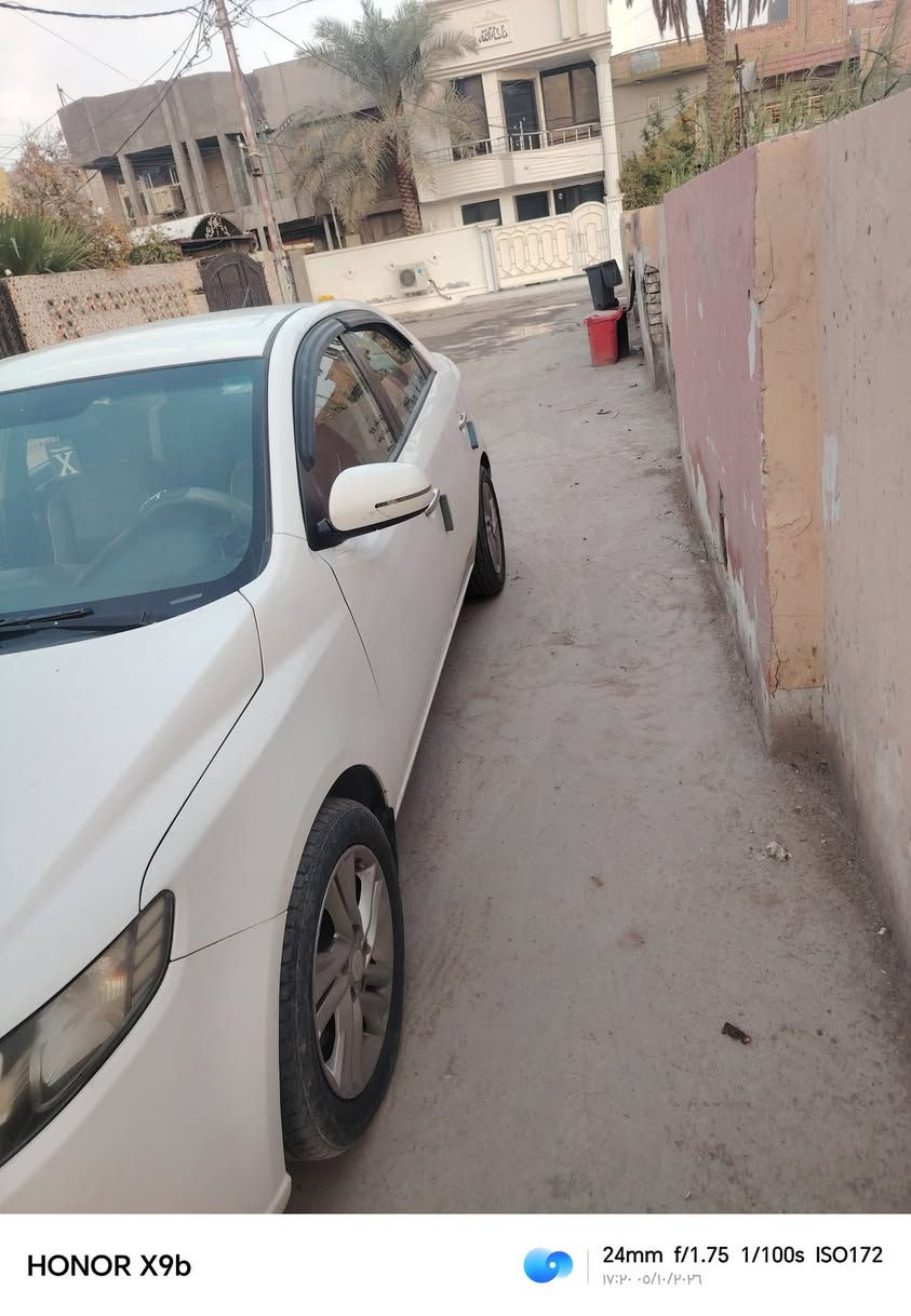 سيراتو • قطعتين صبغ • رقم أربيل