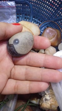 نوادر